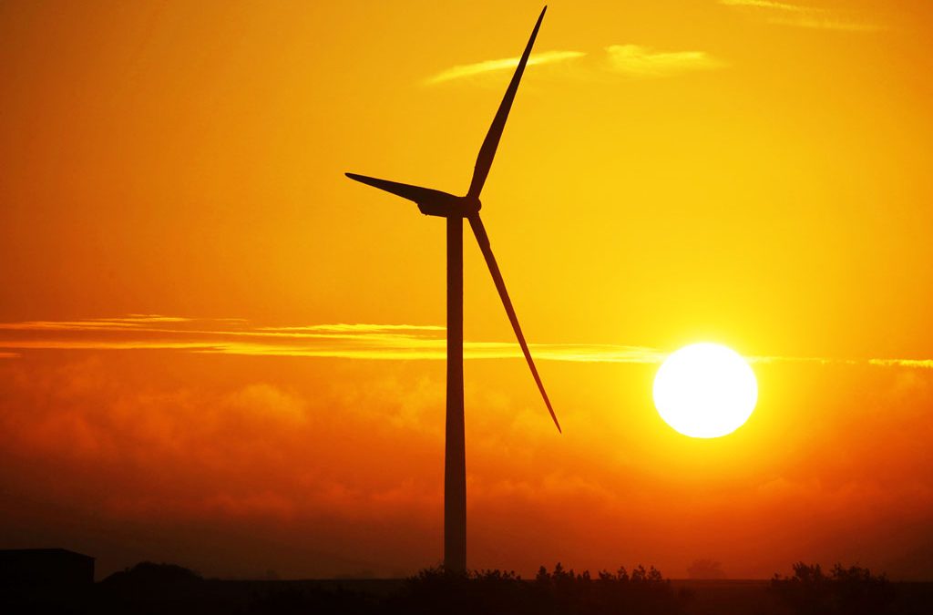 Estados Unidos: Compromiso con el medio ambiente